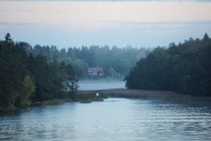 Nebelschwarden liegen auf dem Wasser